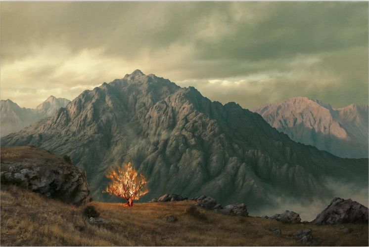 BurningBush